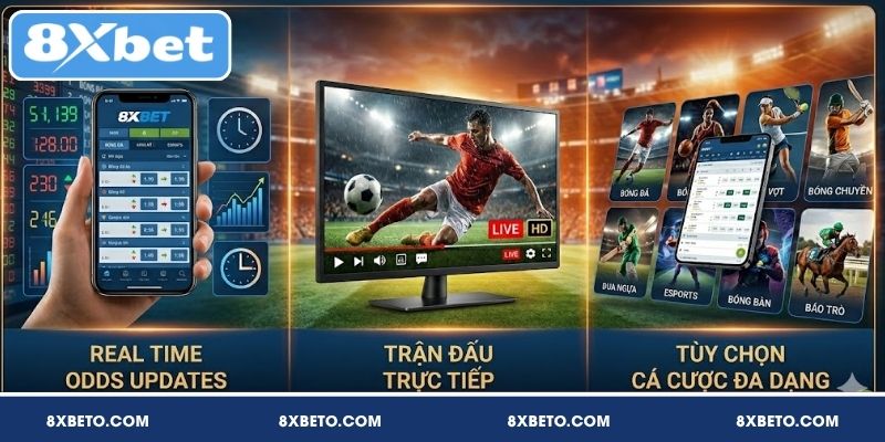 Ưu điểm vượt trội khi cá cược thể thao 8XBET