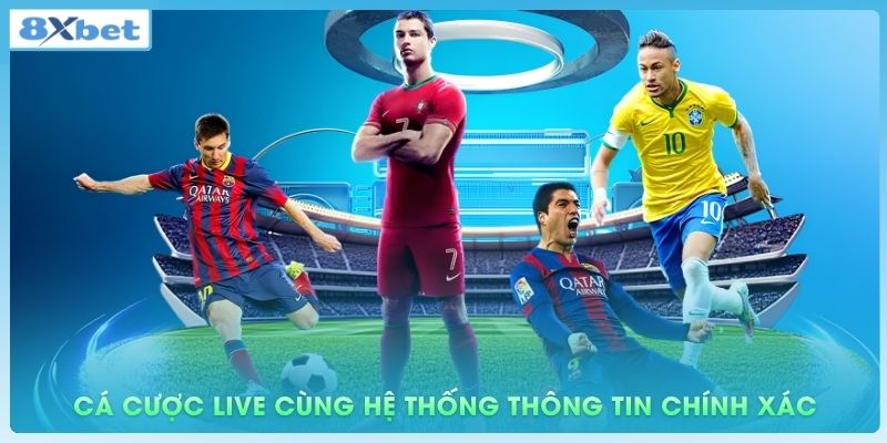 Cá cược live cùng hệ thống thông tin chính xác và kịp thời